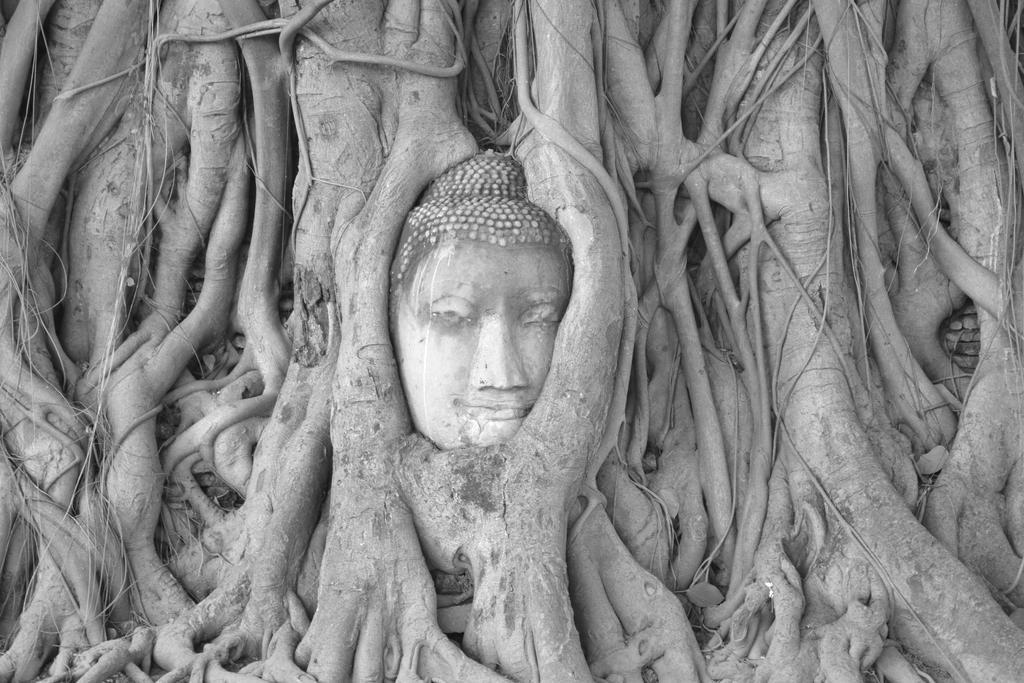 Brickhouse Ayutthaya Guesthouse Est 1986 Екстер'єр фото